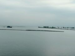 -合肥滨湖国家森林公园