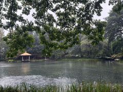 -家烧面馆【南山路知名经典面食】