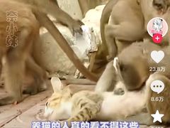 -昆明动物园