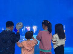 -泉城欧乐堡海洋极地世界