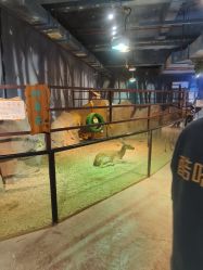 -酷嗒动物文化乐园(cutezoo西溪乐天城店)