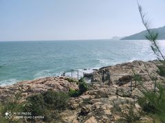 -广东惠东海龟国家级自然保护区