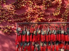 -潭柘寺景区