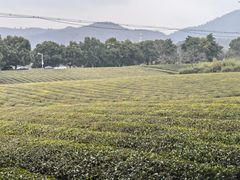 -敬亭山风景名胜区