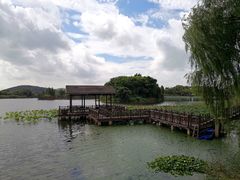 -上海市保健医疗中心