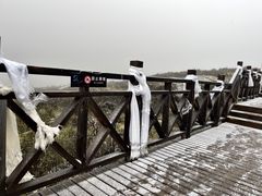 -莲宝叶则景区