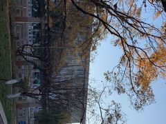 -云南师范大学(一二一西南联大校区)