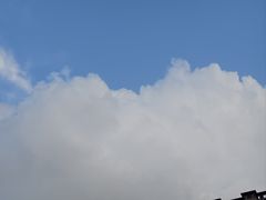 -大连体育中心体育馆