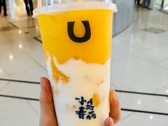 -春丽小马(济南恒隆广场店)