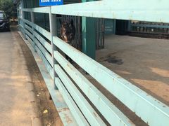 -酷鱼垂钓CLUB(朝阳区博大路店 )