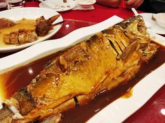 红烧花鲢鱼-嘉年华大酒店