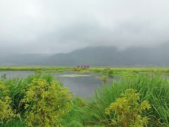 -腾冲北海湿地