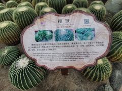 -南山植物园