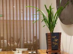 -枣子树·素食餐厅(普陀山店)