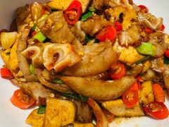 -辣可可·小炒黄牛肉(望京凯德MALL店)