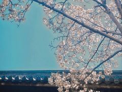 -秋霞圃