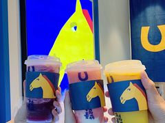 -春丽小马(济南恒隆广场店)