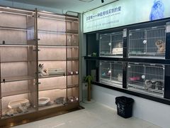 -翊宠yipet猫狗购宠庄园犬舍•猫舍