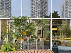 -SAANCI山池咖啡(海上世界文化艺术中心店)