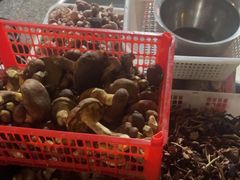 -草墩罗非鱼庄•野生菌•腊排骨(七星街上段店)