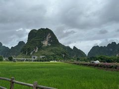 -明仕田园
