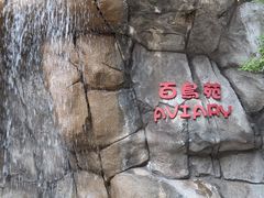 -九龙公园