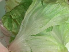 -芦月轩羊蝎子(劲松店)