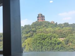 -七欣天香辣蟹火锅(南京建宁路大观天地店)