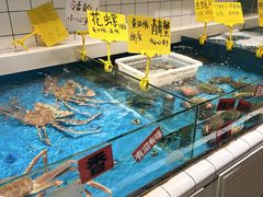 -恭喜上堓砂锅焗·海鲜大排档(闵行龙湖店)