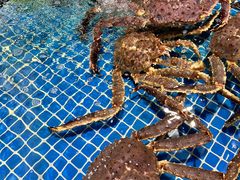 -三亚火车头万人海鲜广场