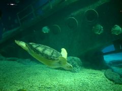 -福州罗源湾海洋世界旅游区