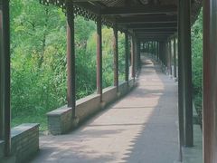 -八大山人梅湖景区