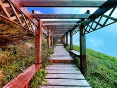 -白草畔自然风景区