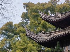 -天一阁博物院