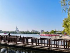 -莲花池公园