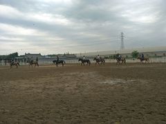 -月河湾马术俱乐部(朝阳店)