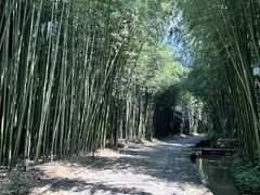 -竹泉村旅游度假区