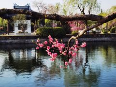 -无锡蠡湖国家湿地公园-蠡园