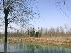 -艾溪湖湿地公园