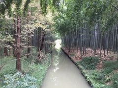 -同里国家湿地公园