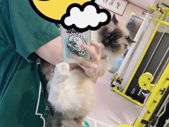 -M.S拳击泰拳馆(大学路店)