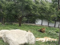 -西安秦岭野生动物园