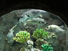 -杭州长乔极地海洋公园