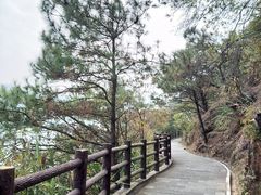 -羚羊峡古栈道森林公园