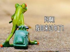 -听说碳烧蛙(高新万达店)