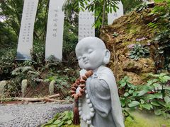 -深圳仙湖植物园