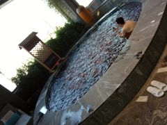 -弘安丽水温泉酒店