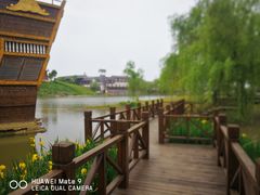 -金卉庄园