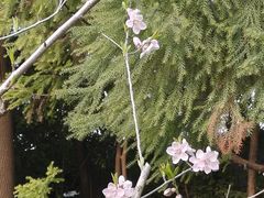 -上海市龙华烈士陵园