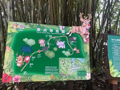 -海南热带野生动植物园